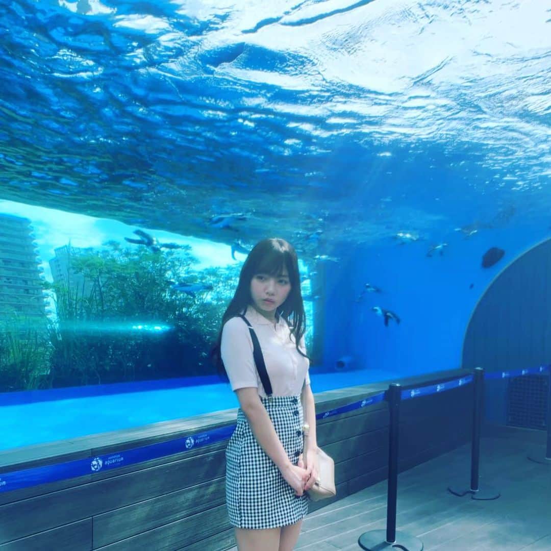 のインスタグラム：「【オフショット】 きょんことの打ち合わせで絶対に行こう！と決めていた水族館デート🐠🧸  ペンギン水槽「天空のペンギン」の光を浴びてキラめく彼女です🤤  #齊藤京子1st写真集  #とっておきの恋人 #齊藤京子 #日向坂46 #きょんこしか勝たん  #国民的彼女 #kyonstagram 👸💕  📢ご購入はプロフィールのリンクから」