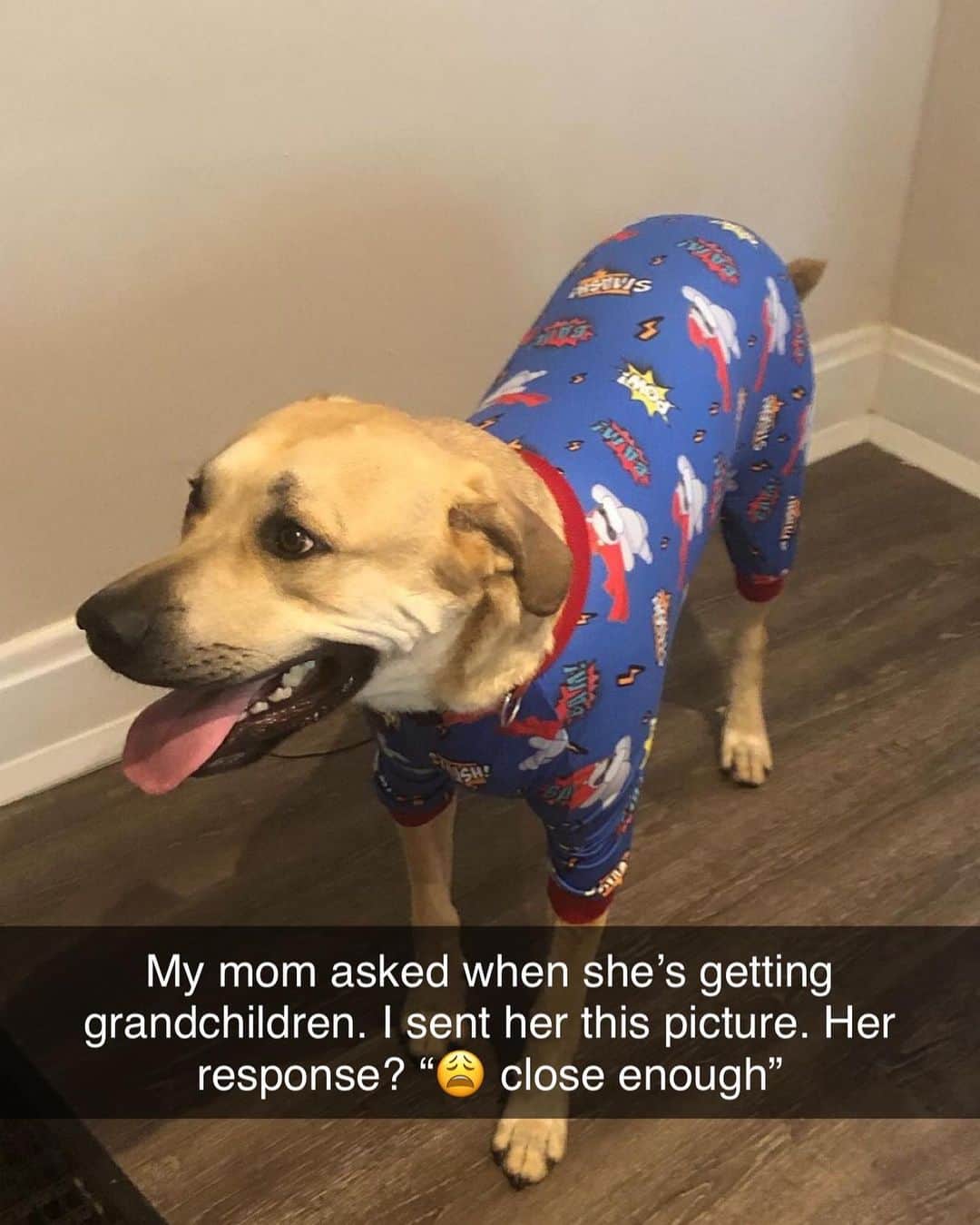 BarkBoxのインスタグラム：「Life is all about little victories 😌 (sorry mom 💗)  @coloneldijonmustard I luv u」
