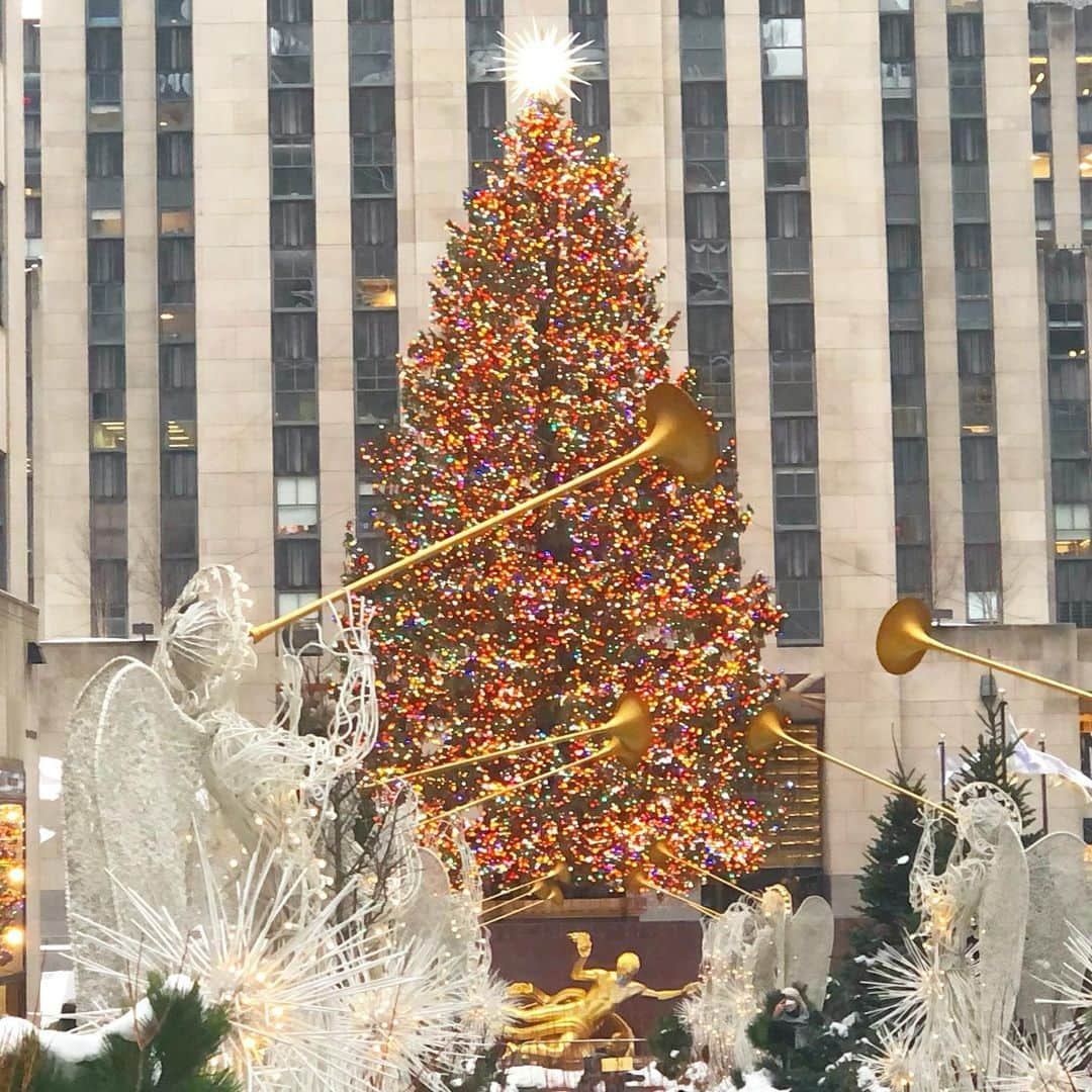 白渚すずさんのインスタグラム写真 - (白渚すずInstagram)「Rockfeller Center Tree🎄  ツリーpostが続いたのでこちらも。 一昨年は点灯式の翌日に一時帰国✈︎で見れなかったので 昨年初めて見れました。 でもお昼間しか行けなかったので、来年は夜見に行きたいな♡  #christmastree#rockfellercenter #rockfellercenterchristmastree #rockfeller#ny#nyc#newyork#usa#ロックフェラーセンタークリスマスツリー#ニューヨーク#ニューヨーク生活」1月20日 13時57分 - suzubell_44