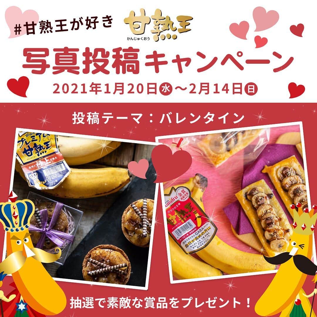 Sumifruのインスタグラム：「#甘熟王が好き 写真投稿キャンペーンのお知らせです☆ 2月14日は #バレンタイン 甘くてコクのある、甘熟王シリーズのバナナで すてきなチョコバナナスイーツを作ってみませんか？  【キャンペーン概要】 #甘熟王ゴールドプレミアム または #甘熟王 の商品ラベルが写ったバレンタインらしい画像を #甘熟王が好き を付けて投稿してくださった方の中から、抽選で50名様に甘熟王バナナを使った 「しみこみ贅沢ショコラ（濃厚バナナ）2個セット」をプレゼント♪  【応募期間】1/20（水）～2/14（日）23：59まで ※参加方法は、キャンペーン投稿画像の2枚目をご覧ください。  【本キャンペーンについてのお知らせ】 ・お一人様何度でも投稿は可能ですが、当選は1回のみとなります。 ・当選された方へはInstagramのDMにて当選のご連絡を致します。（2月下旬頃予定） ・非公開アカウントは抽選の対象となりませんので、キャンペーンご参加の際は、公開アカウントにてご参加をお願い致します。 ・本キャンペーンのご当選者は、同時期に同一商品で実施している他のキャンペーンに重複して当選できない場合がございます。  また、フォローで応援してくださると、励みになります！！ 濃厚なコクと旨味の「甘熟王ゴールドプレミアム」・甘くてコクのある「甘熟王」を、ぜひ今年のバレンタインにいかがですか？  #バナナはスミフル #甘熟王が好き #スミフル #キャンペーン #バレンタイン手作り #バレンタインレシピ #バレンタインデー #友チョコ #チョコレート #チョコバナナ #フォローミー  #お願いします」