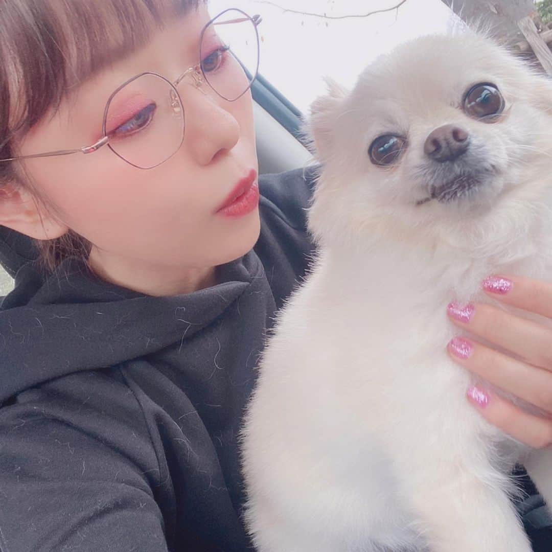 井口裕香さんのインスタグラム写真 - (井口裕香Instagram)「🥸🐶💓 ちょっと前の🚙 サスケとおでかけ♡ わたしは毛だらけ♡笑 #うちのいぬサスケ #表情豊かいぬ #愛犬の抜け毛は宝」1月20日 14時28分 - ooo31_iguchiyuka_31ooo