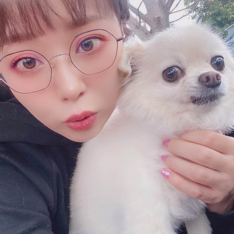 井口裕香さんのインスタグラム写真 - (井口裕香Instagram)「🥸🐶💓 ちょっと前の🚙 サスケとおでかけ♡ わたしは毛だらけ♡笑 #うちのいぬサスケ #表情豊かいぬ #愛犬の抜け毛は宝」1月20日 14時28分 - ooo31_iguchiyuka_31ooo