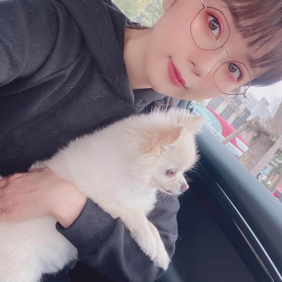 井口裕香さんのインスタグラム写真 - (井口裕香Instagram)「🥸🐶💓 ちょっと前の🚙 サスケとおでかけ♡ わたしは毛だらけ♡笑 #うちのいぬサスケ #表情豊かいぬ #愛犬の抜け毛は宝」1月20日 14時28分 - ooo31_iguchiyuka_31ooo