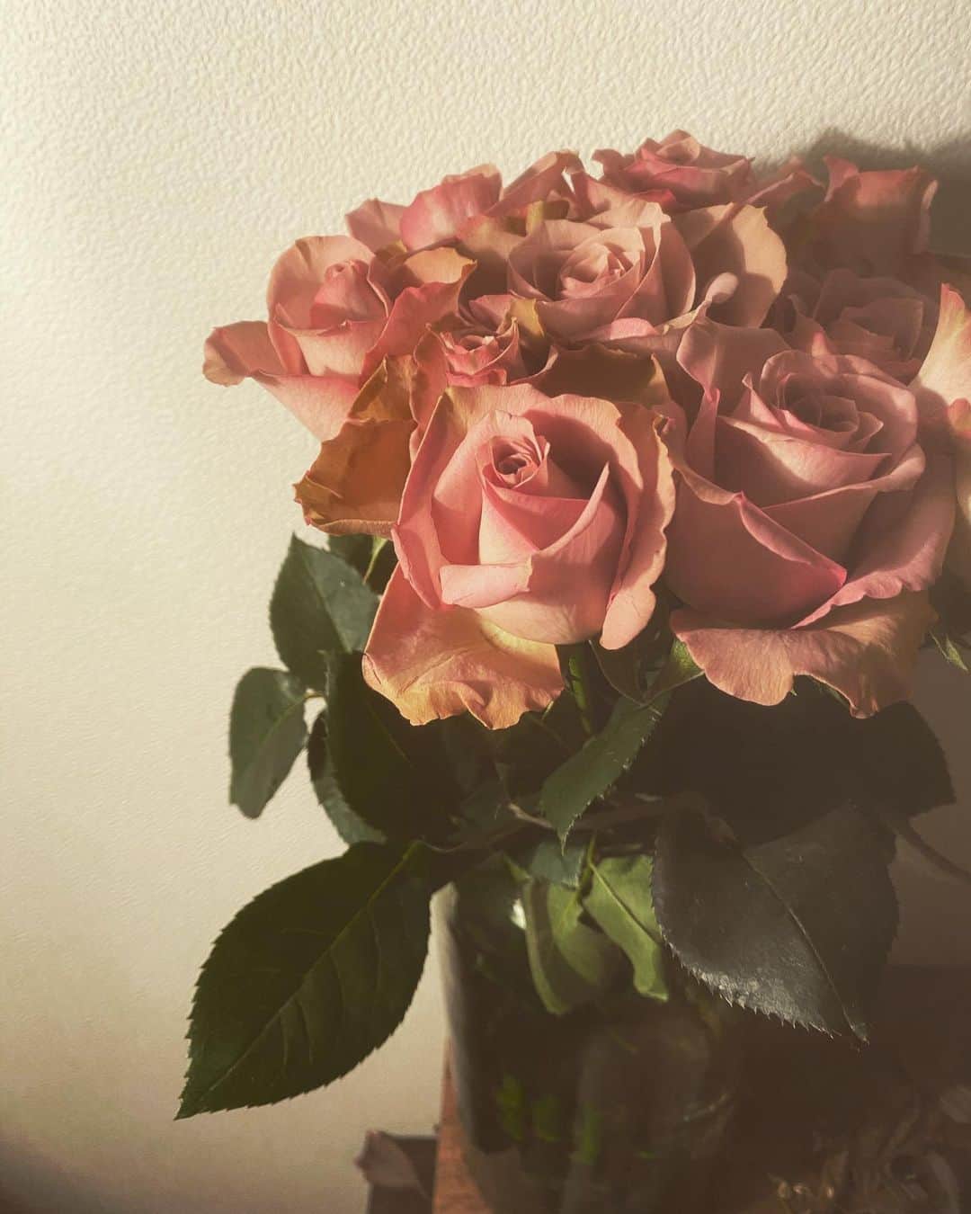 森田美勇人のインスタグラム：「Classic pink roses  あまりの綺麗さに惚れる  そして棘に刺される」