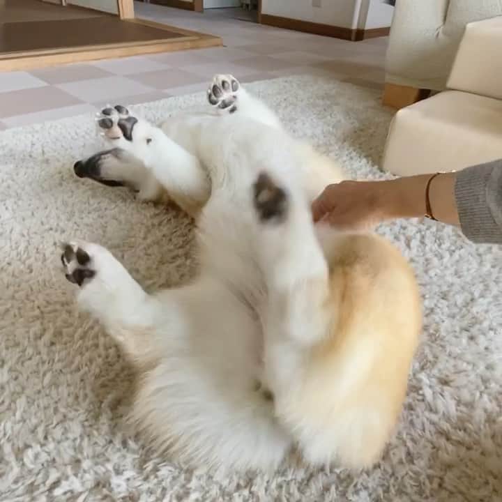 さゆりのインスタグラム：「◡̈⋆2021.1.20Wed.◡̈⋆ Which part is itchy? Let me see!!😅🤣🤣🤣 * あ〜そこそこ😅🤣👌 * * * * * * * *」