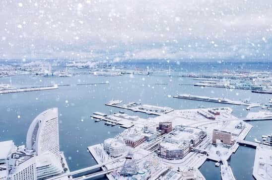 横浜ロイヤルパークホテルさんのインスタグラム写真 - (横浜ロイヤルパークホテルInstagram)「本日1月20日は1年で最も寒いとされる「大寒の日」。 お写真は2014年2月14日から16日にかけて太平洋側で記録的大雪が降った日に、スカイラウンジ「シリウス」から撮影されたものです☃️❄️ まだまだ寒い日が続きますが、皆さまお身体ご自愛ください。  ————————— Photo Credit : @r_i_k_a__k  素敵なお写真をありがとうございます😊 —————————」1月20日 15時34分 - yokohamaroyalparkhotel