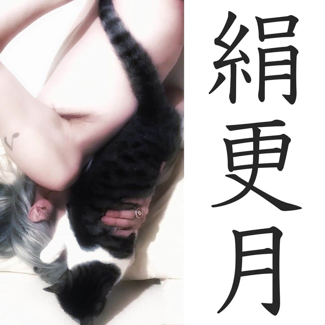 のインスタグラム：「₪ イマイアキノブ 2月のライブ  ✴︎2.9(火) 都内 詳細は後日  ✴︎2.13(土) @ KAVACH⚡︎YA 新宿  『君と逢う新宿』vol.26  出演 イマイアキノブ イノクチタカヒロ(hotspring)  開場 19:00 開演 19:30  ¥2500＋飲物代  予約 問い KAVACH⚡︎YA  新宿区歌舞伎町2-9-18 ライオンズプラザ新宿2F ☎︎ 03 6233 8677  ✴︎2.18(木) @ KAVACH⚡︎YA 新宿  『NAKED VOICE』♯56  出演 ナカヒラミキヒト 町田開 イマイアキノブ  開場 19:00 開演 19:30  ¥2000＋飲物代  予約 問い KAVACH⚡︎YA  新宿区歌舞伎町2-9-18 ライオンズプラザ新宿2F ☎︎ 03 6233 8677  ✴︎2.26(金) 都内   出演 イマイアキノブ 山本久土 サトウミノル  詳細は後日  #イマイアキノブ  #imaiakinobu」