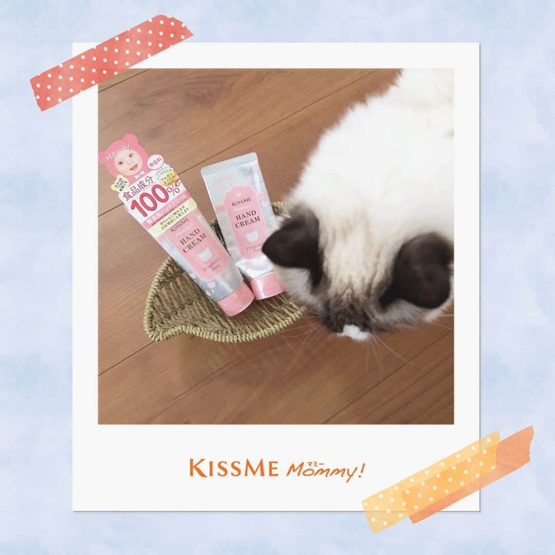 マミー/Mommy!のインスタグラム：「今日は、@honeybee.0310 さんの投稿をリポストさせていただきます🧸♪  ======================= 今年もお世話になります 〝マミー ハンドクリームS 無香料〟  元々そんなに手荒れ・乾燥するタイプではないのですが、冬は別。 しかも手指消毒が当たり前になった2020年は別格😭 乾燥、乾燥、ささくれ、乾燥⤵︎⤵︎  べたつくのは嫌、猫がいても使いたい！ という事で一昨年くらいから愛用 パッケージもcute💗 キッチン・洗面所・鞄の中に設置中🤗  〝ペットを触る前でも使えます〟というのはグルーミングが多い猫飼いにはありがたいです。 =======================  ご愛用誠にありがとうございます💕 猫ちゃんとの暮らしにもお役立て いただけたとのことうれしいです🐻  乾燥でいつもより敏感になりがちな肌を、 やさしくケアしてあげてくださいね✨」