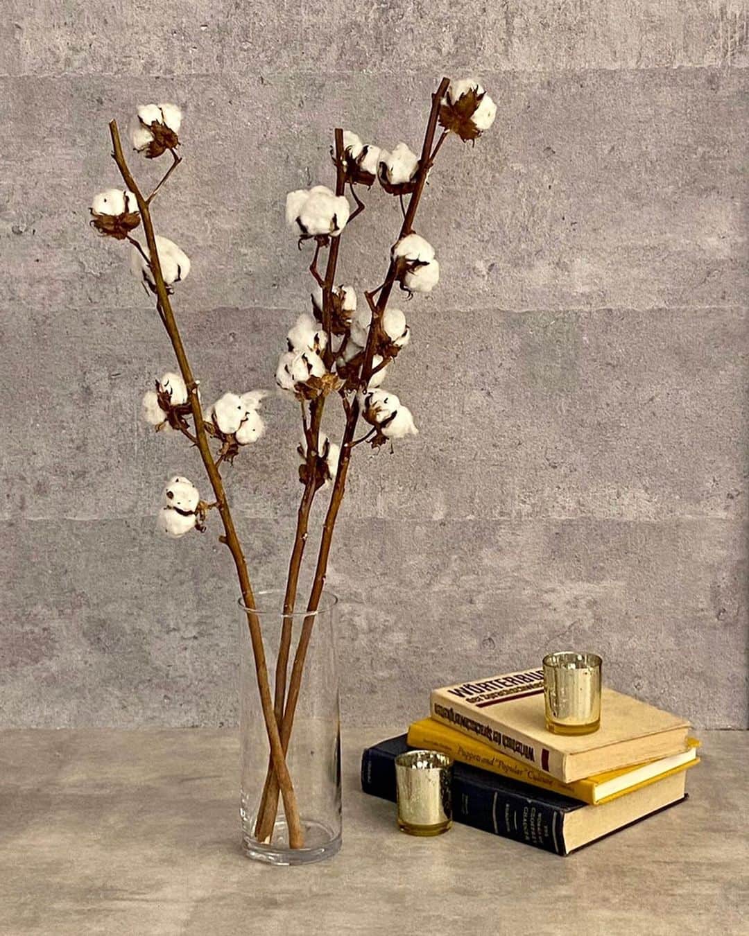 アルマリアンFUKUOKA　公式のグルメインスタ