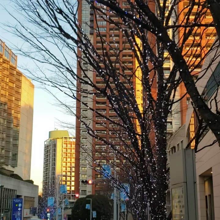 インゴのインスタグラム