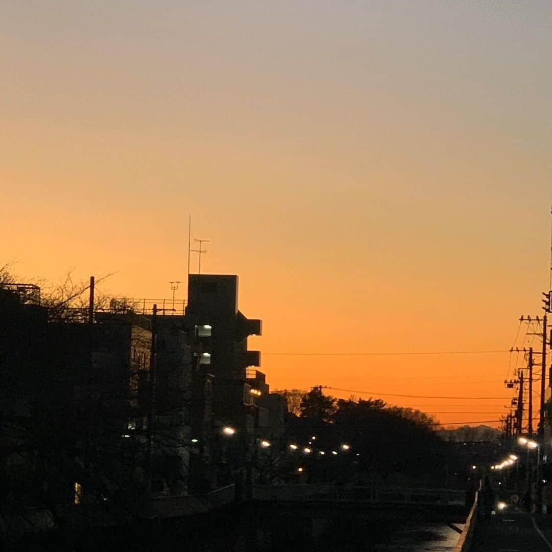 のインスタグラム：「冬の🍊 甘〜いみかんたべたいなぁ みんな元気かなあ」