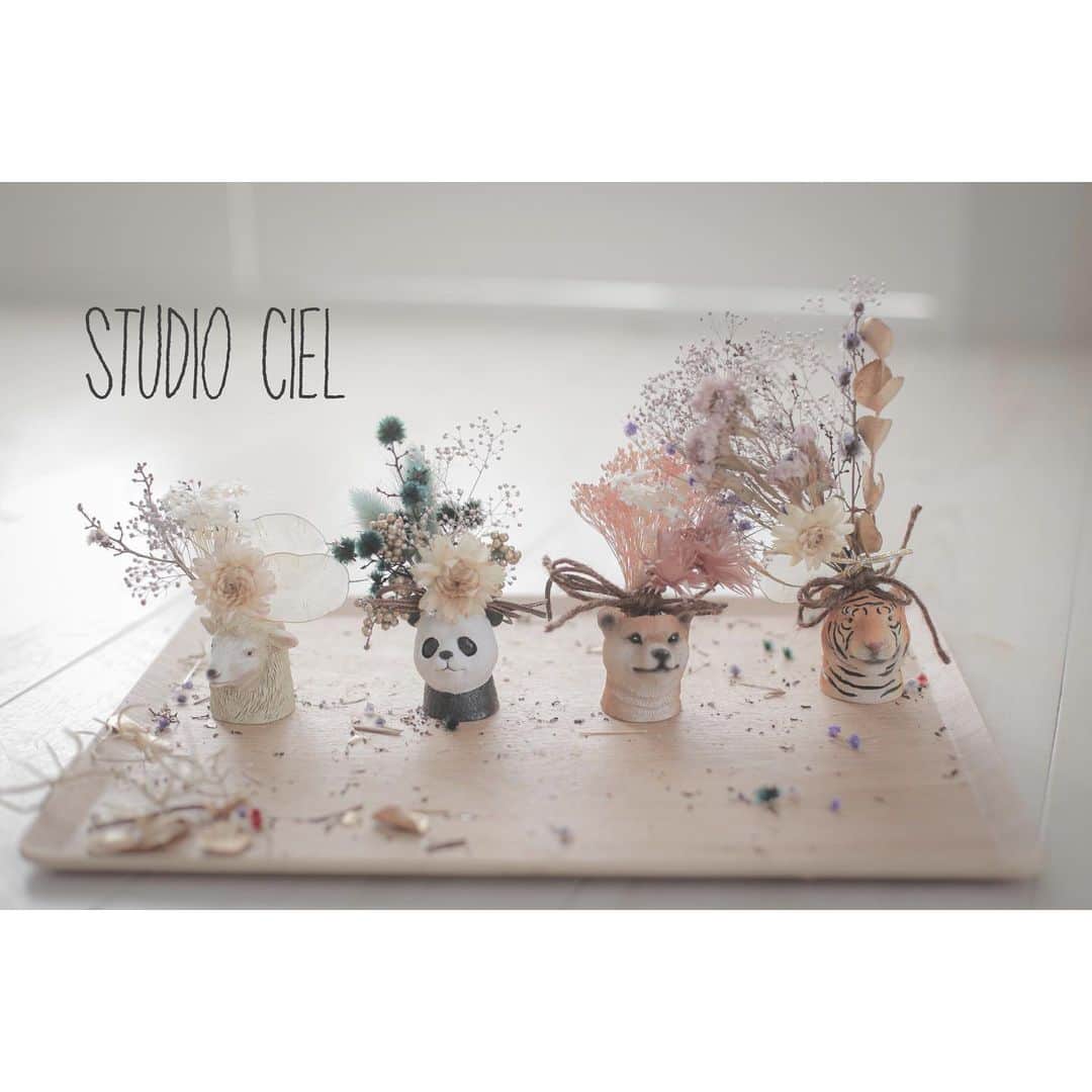 のインスタグラム：「🗣振袖展示会やるよ！  1月22日〜24日の３日間限定♡  たくさんの振袖と小物が いっーぱい選べます🕺🏻  是非お待ちしております♩  .  #スタジオシエル  #スタジオシエル印西店 #振袖  #振袖レンタル  #印西写真館  #ヘアメイク  #ヘアアレンジ  #ナチュラルメイク  #アップスタイル  #shopping  #写真館  #スタジオ  #カメラ女子  #印西 #ビックホップ  #かわいい #ドライフラワー #ウェディングドレス  #成人式 #成人式前撮り #成人式ヘアセット  #振袖前撮り #成田振袖  #八千代振袖 #白井振袖  #印西振袖」