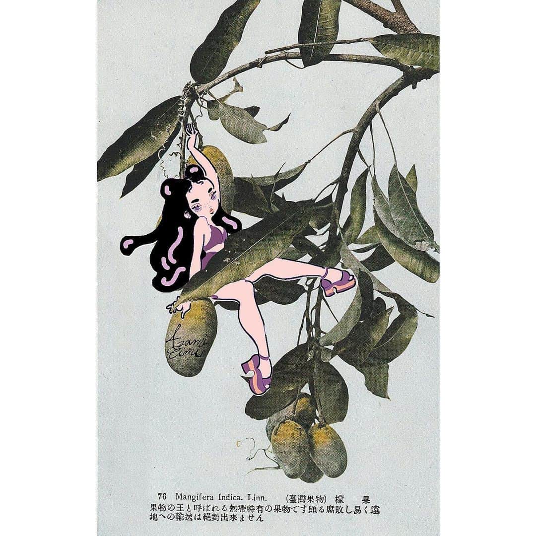 eimiさんのインスタグラム写真 - (eimiInstagram)「戦前のポストカードに🥭 #イラストレーション#レトロ#deadstock﻿ #eimicroquis#eimi#AzamiEimi#illustration#drawing#girlsillustration#pink#artwork#antiquepostcard」1月20日 17時53分 - mqv_eimi