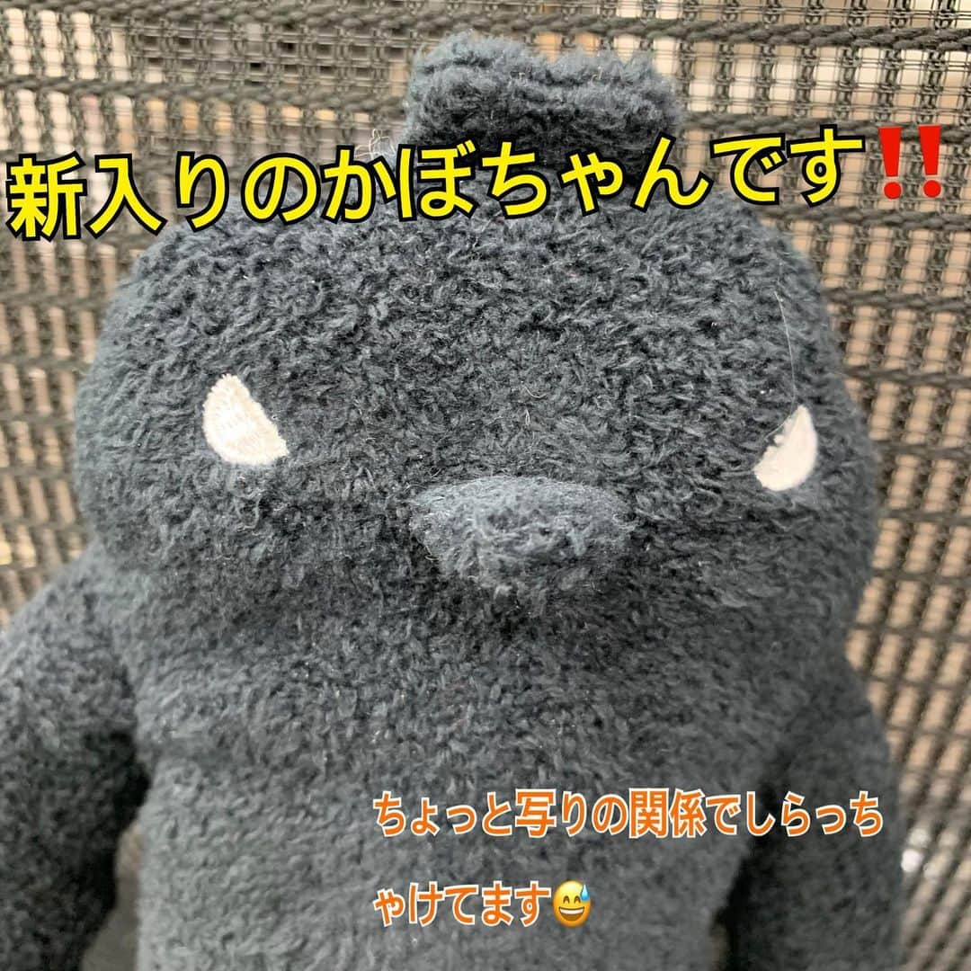 江口ともみさんのインスタグラム写真 - (江口ともみInstagram)「自粛生活お楽しみ企画‼️  かぼちゃんとさらだとサラを探せ✨  2枚目で3人を探してね😊  答え動画は6枚目だよ‼️  今日はタックル収録でもぐぞうくんにかぼちゃんはご挨拶してました  #fumofumosan #フモフモさん #サラ#さらだ#かぼちゃん #もぐぞうくん #自粛生活お楽しみ企画 #探せシリーズ#中級」1月20日 18時36分 - tomomin.eguchi