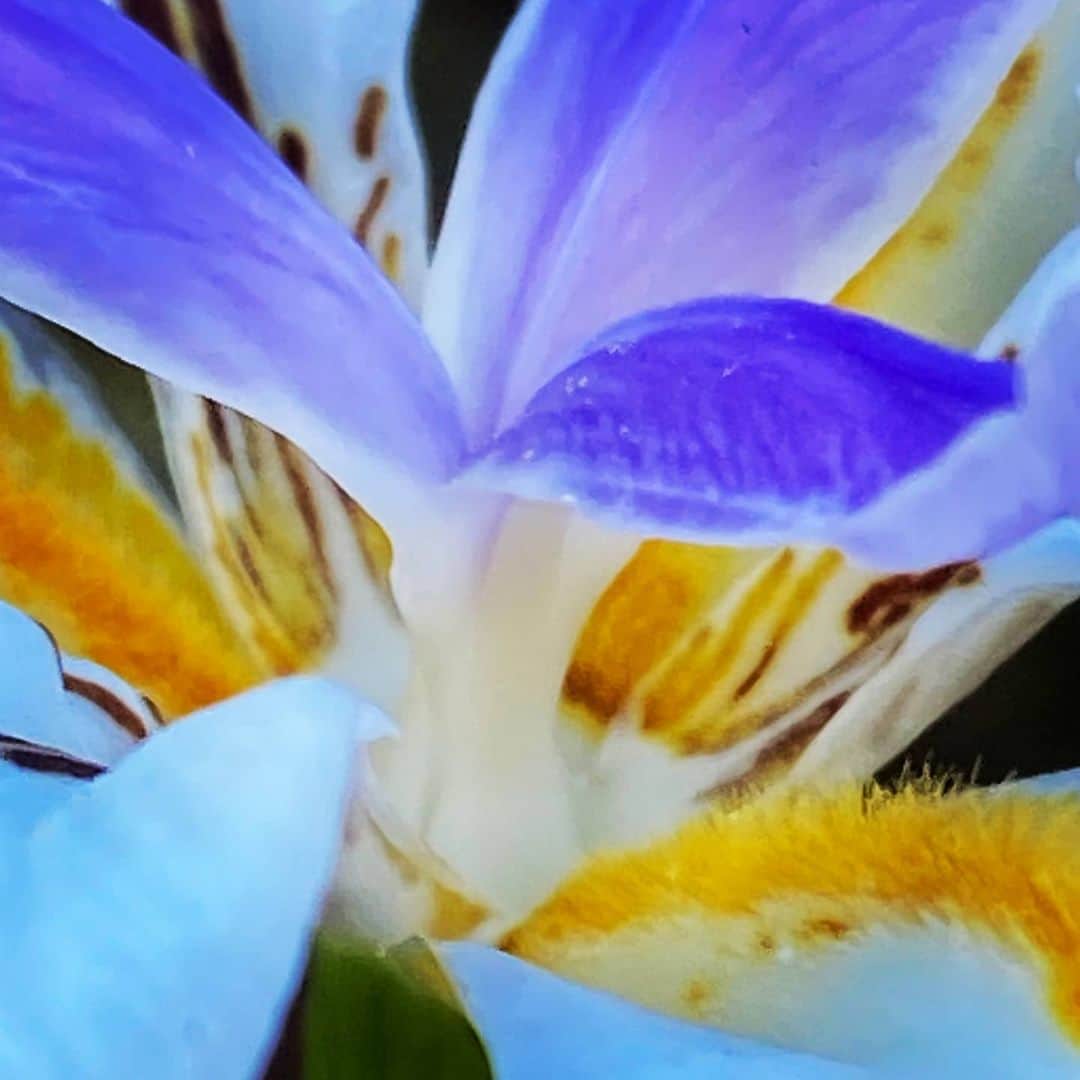ガソリングラマーのインスタグラム
