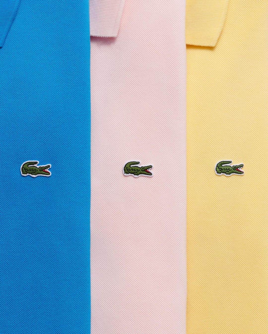 Lacosteさんのインスタグラム写真 - (LacosteInstagram)「Whatever the colors, the language or the country, your #Lacoste flag remains universal. #BehindThePolo」1月21日 4時23分 - lacoste