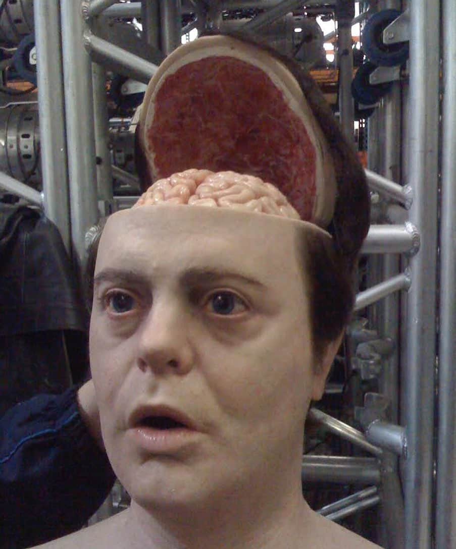 ジェームズ・ガンのインスタグラム：「Happy Birthday, @rainnwilson #shutupcrime」