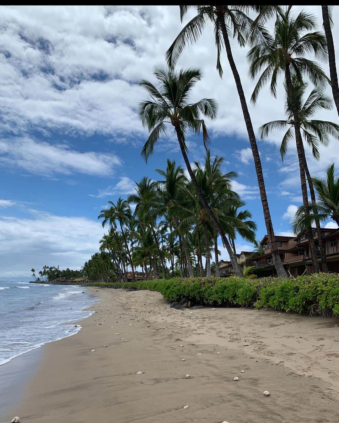 マリブシャツのインスタグラム：「📍wish I were here #tropical #malibushirts #beach #beachlife #staysafe #wearamask」