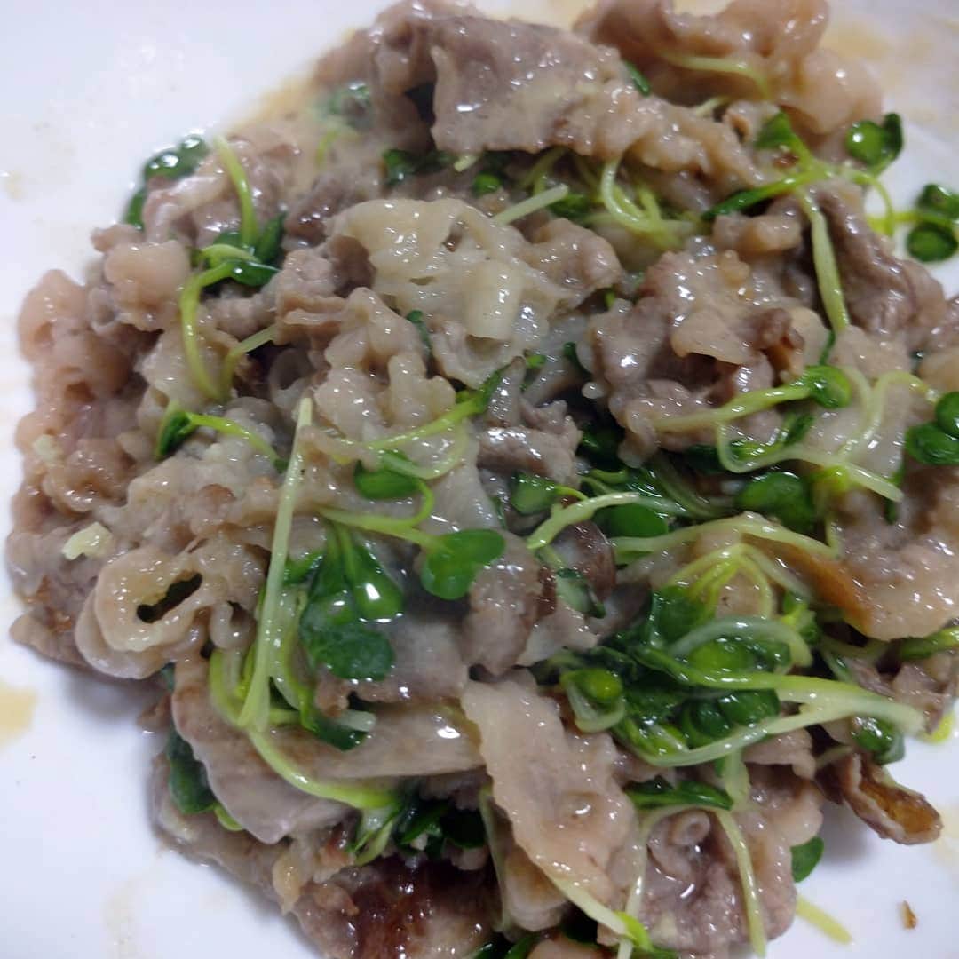 橋本和樹のインスタグラム：「本日のズボラ飯  牛肉と貝割れのゴマだれ和え #ズボラ飯 #自炊飯 #ドケチ飯 #プロレスラーが作る飯 #酒飲みの味 #基本茶色」
