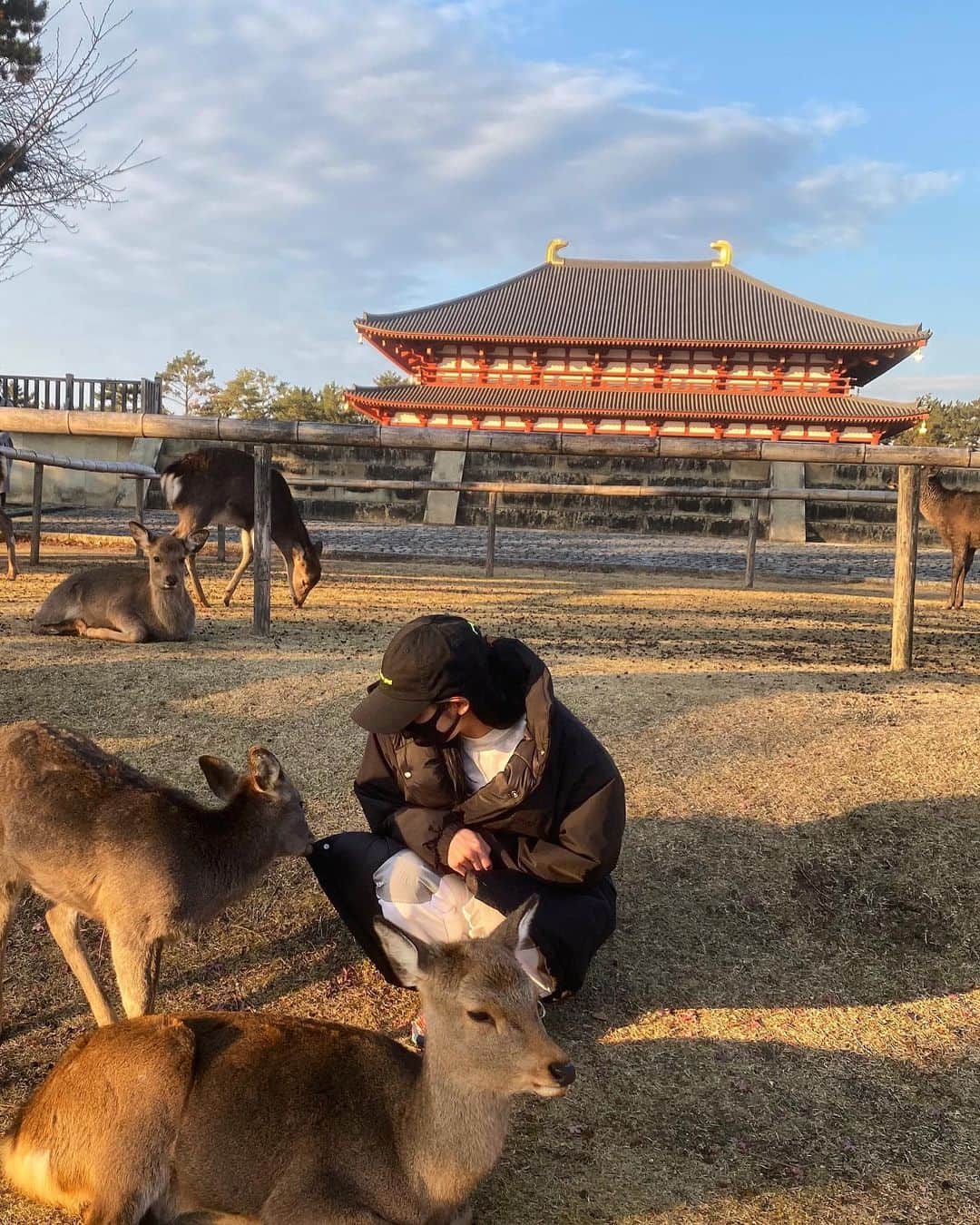 湯田葉月のインスタグラム：「なに味？🦌笑 鹿さん普段は大人しいけど、鹿煎餅持ってる人への群がりが凄すぎる🤣🤣🤣 #奈良 #奈良公園 #ならまち #ならさんぽ」