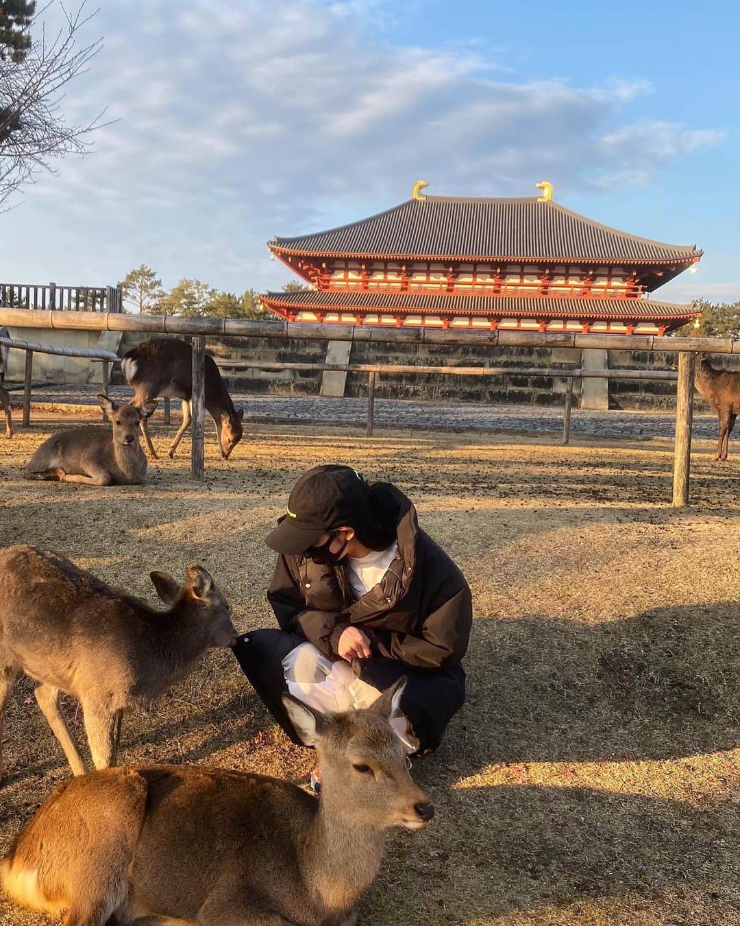 のインスタグラム：「なに味？🦌笑 鹿さん普段は大人しいけど、鹿煎餅持ってる人への群がりが凄すぎる🤣🤣🤣 #奈良 #奈良公園 #ならまち #ならさんぽ」