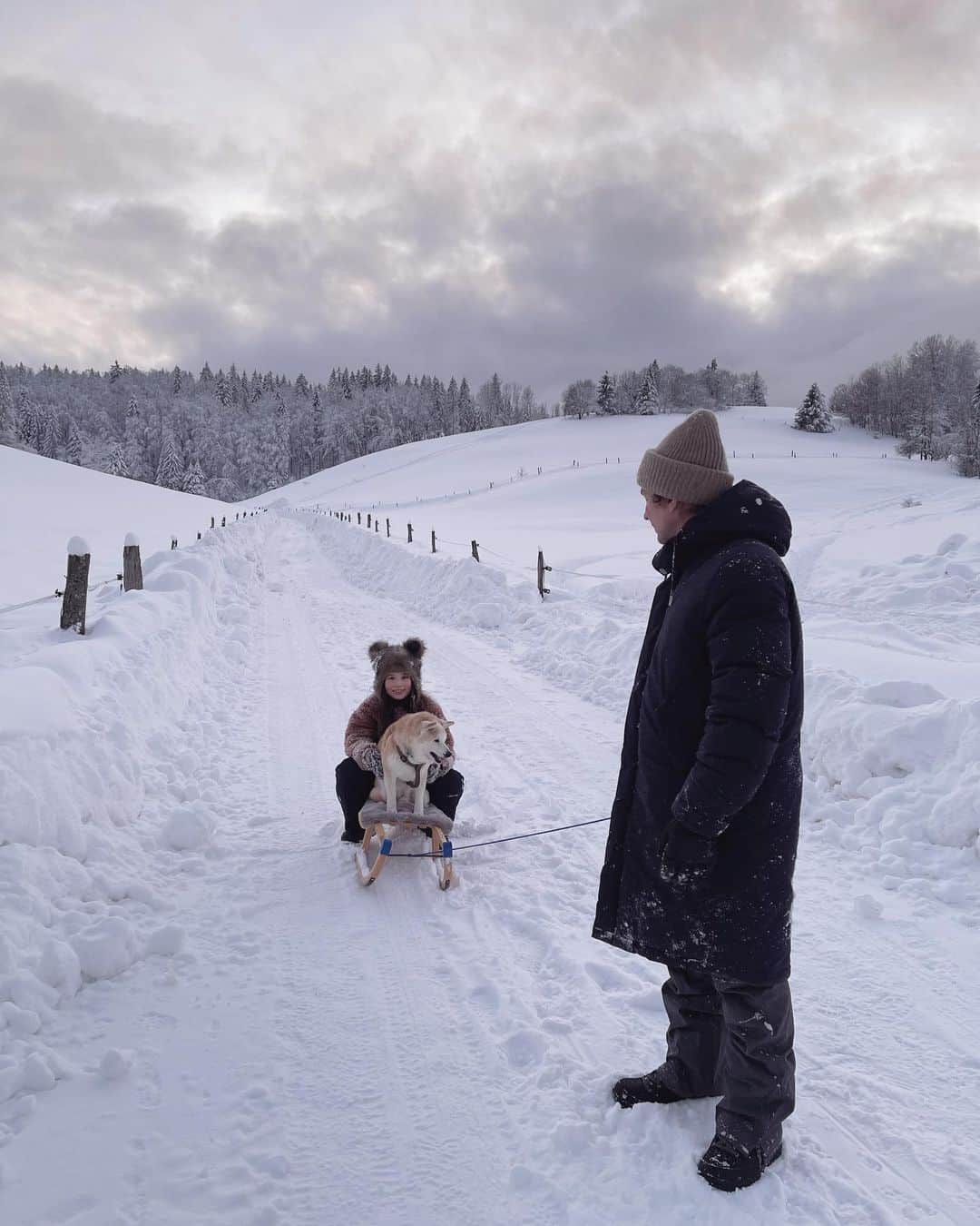 フィロとポンポンさんのインスタグラム写真 - (フィロとポンポンInstagram)「Pompon musher, Papa chien de traîneau.🛷」1月20日 21時33分 - philo_pompon
