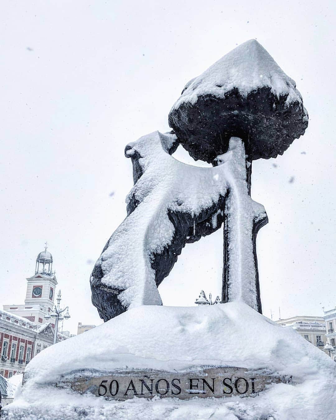 Guido Gutiérrez Ruizさんのインスタグラム写真 - (Guido Gutiérrez RuizInstagram)「Adapt to survive • When Madrid's bear turned into a polar bear • Adaptarse para sobrevivir. Cuando el oso de Madrid se convirtió en oso polar ❄️」1月20日 21時52分 - guigurui
