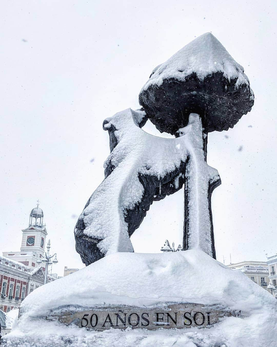 Guido Gutiérrez Ruizのインスタグラム：「Adapt to survive • When Madrid's bear turned into a polar bear • Adaptarse para sobrevivir. Cuando el oso de Madrid se convirtió en oso polar ❄️」