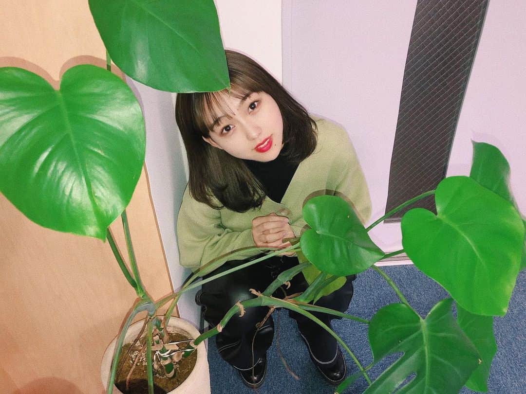 澤田桃佳のインスタグラム：「葉っぱ色の服」