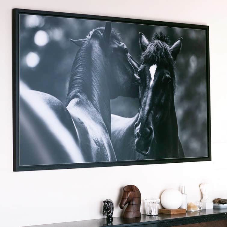 干場義雅さんのインスタグラム写真 - (干場義雅Instagram)「黒い馬を置くとその家は繁栄する。エルメスでそんな言葉を聞いてから、家の中に黒い馬をひとつずつ増やしてるんです。信じるか信じないかはあなた次第ですが😅　ちなみに、この写真はミニマルワードローブで買えます。  @minimalwardrobe_official  #minimalwardrobe_official  @hermes #hermes  #エルメス @saintlouiscrystal  @saintlouisco_  #サンルイ @ikuo_kubota  #久保田育男  @yoshimasa_hoshiba  #yoshimasahoshiba  #干場義雅 @forzastylecom  #forzastyle」1月20日 22時14分 - yoshimasa_hoshiba
