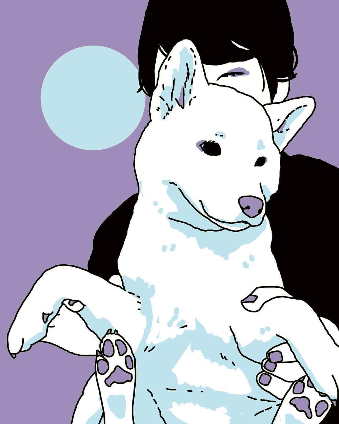 フクザワさんのインスタグラム写真 - (フクザワInstagram)「しろまつげ　#dog #白柴 #shibainu #japaneseboy #動物と月」1月20日 22時16分 - fuku_zawa