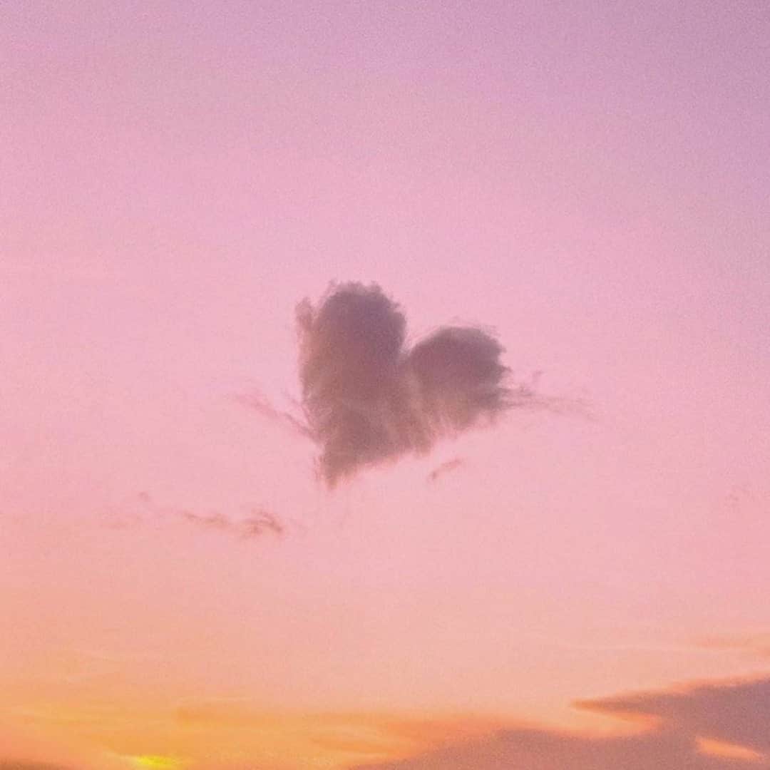 ダニジョーのインスタグラム：「Love is in the air 💕⠀⠀⠀⠀⠀⠀⠀⠀⠀ photo via @hello_dongwon」