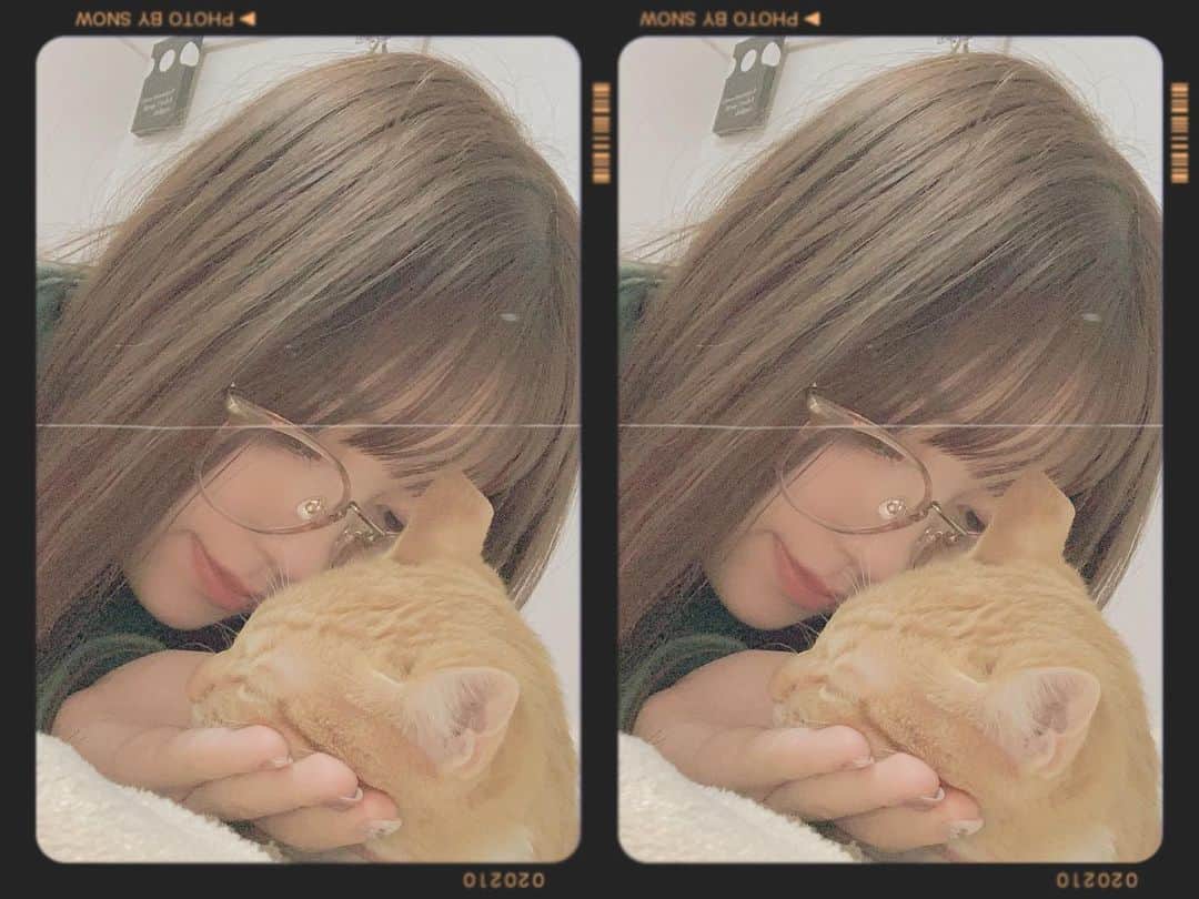 高木悠未のインスタグラム：「ねこちゃん」