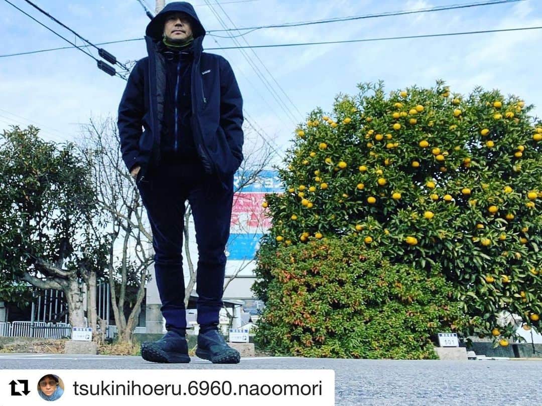 ネサーンスのインスタグラム：「thanks  #Repost @tsukinihoeru.6960.naoomori with @get_repost ・・・ 寒い寒い あぁ 寒い寒い  #1月 #寒い」