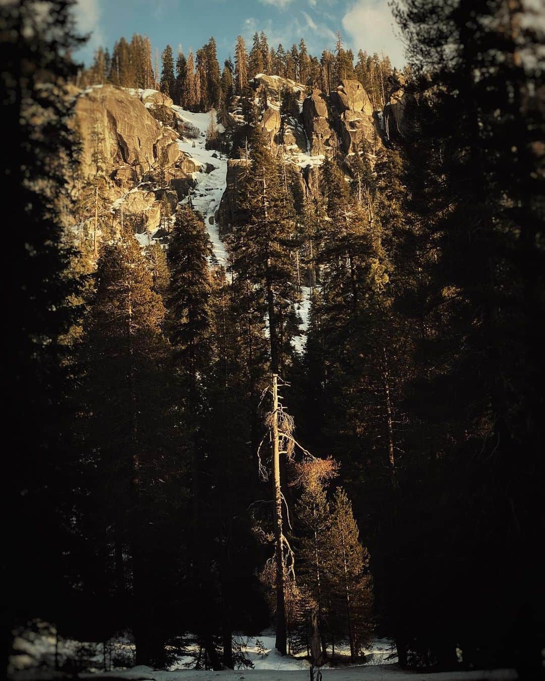 ジョシュ・スチュワートのインスタグラム：「Dreaming, not keeping lookout, feeling alone, and above, and apart, watching the dawn creep like a painted dream... Eugene O'Neill」
