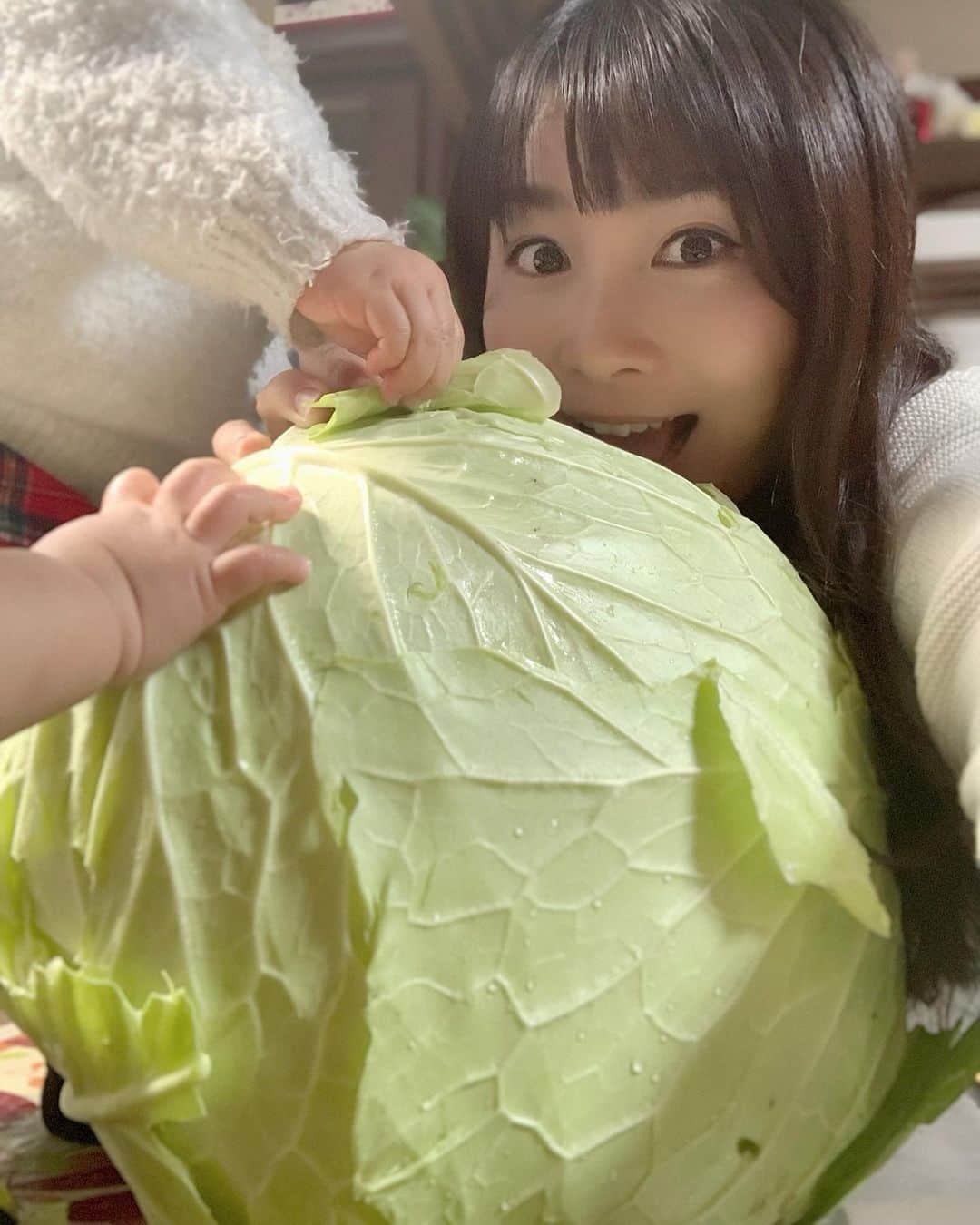 前田阿希子さんのインスタグラム写真 - (前田阿希子Instagram)「巨大なキャベツと白菜を頂戴しました。 こんなに育つもんでしたけ？ キャベツ😱  #キャベツ #白菜 #巨大化 #なんだこのサイズ感？ #と思って写真撮ろうとせっかくキメ顔したのにさ #入ってくるよねあなた達。 #ほぼ一緒の大きさやんあなた達。 #そんなキャベツは #双子青虫の餌食になりましたとさ #明日はロールキャベツだな👍 #何個作れるかしら？🤣 #twins  #双子 #双子のいる生活 #たまひよ #ままのて #こどもの #べびすたぐらむ #twins双子ママ子育てママスタグラム双子のいる生活子どものいる暮らしコドモノ酒sakelover #かわいい #ファッション #花 #モデル #結婚式 #幸せ #笑顔 #野菜 #ブライダル」1月21日 0時12分 - akiko_1206