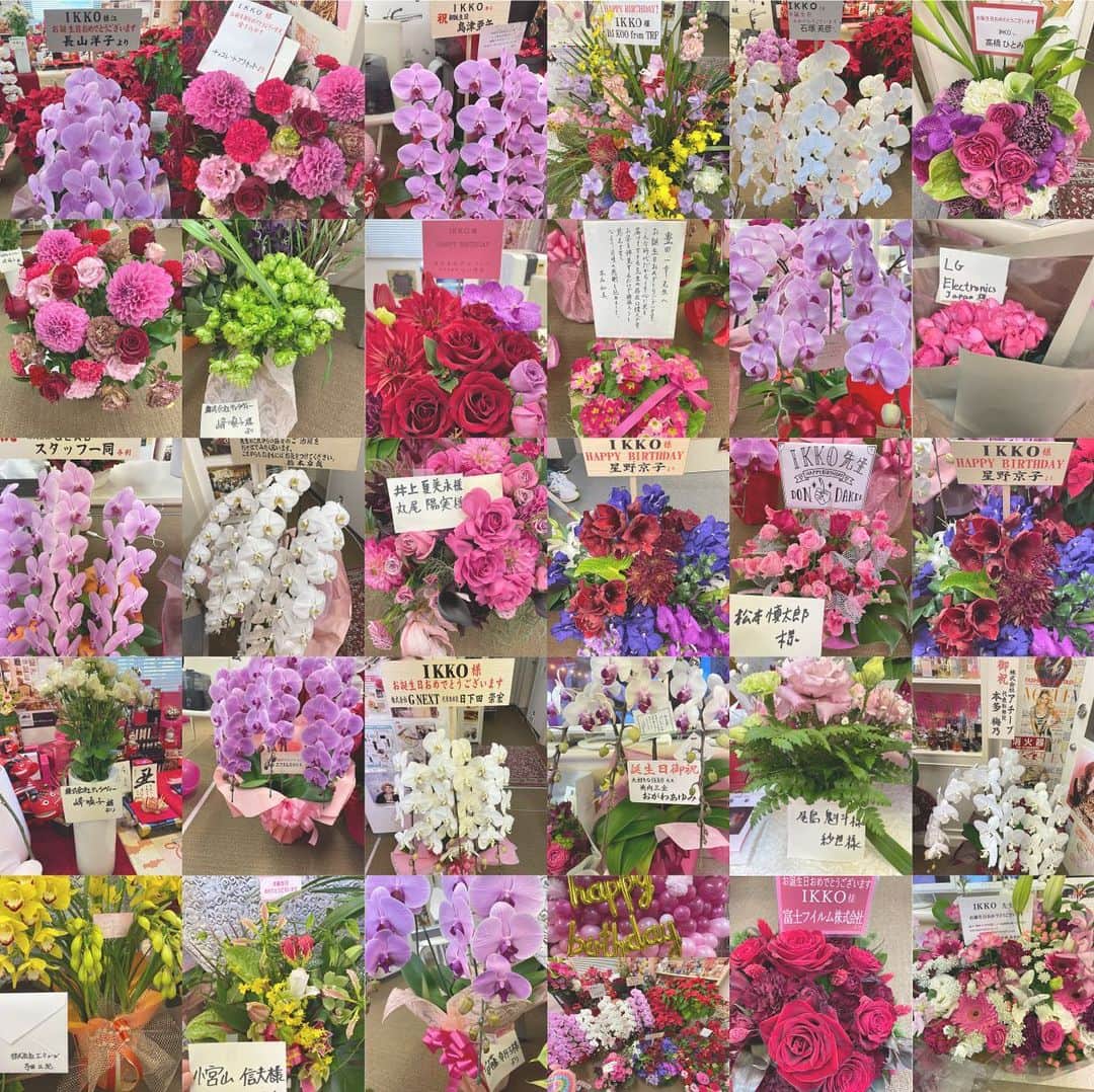 IKKO【公式】さんのインスタグラム写真 - (IKKO【公式】Instagram)「感謝〜❤️❤️❤️  お誕生日にお花を送って頂きありがとうございました〜💐❤️💐  お部屋がぱっと明るくなりました〜✨✨✨  皆様に愛をこめて　IKKO  #IKKO #風 #2021 #誕生日 #happybirthday #フラワー」1月21日 0時53分 - love_ikko