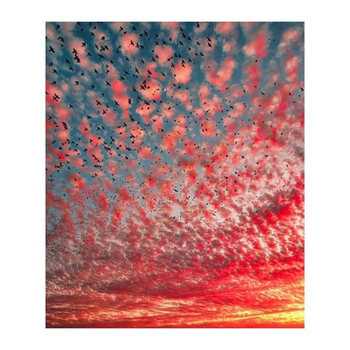 マッタのインスタグラム：「A new day, a new time.」