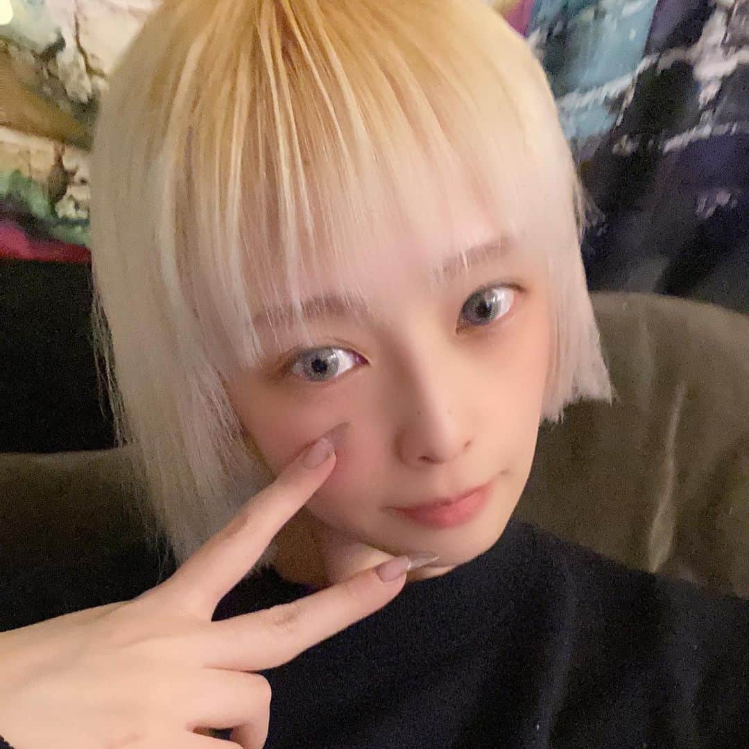 大谷雅恵のインスタグラム：「そして髪を切った✂︎  #リタッチ #bleachhair  #mysalon  #fila #bobhaircut #haircut」
