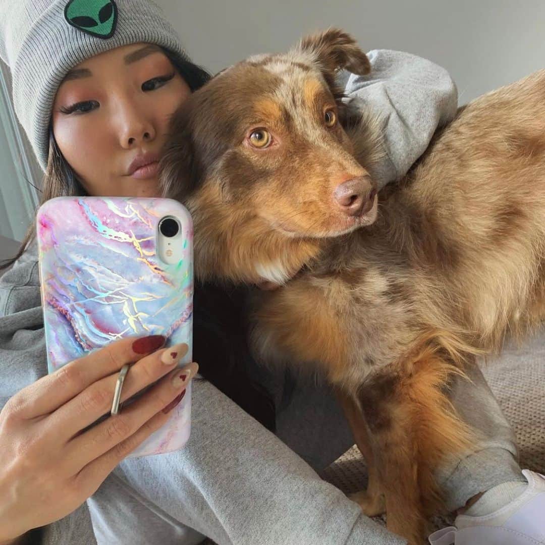 VELVETCAVIARさんのインスタグラム写真 - (VELVETCAVIARInstagram)「Every girl needs two things: a cute case and a cute dog 📱🐶 @mandey.king Tell us about your cute pets in the comments! #velvetcaviar」1月21日 2時12分 - velvetcaviar