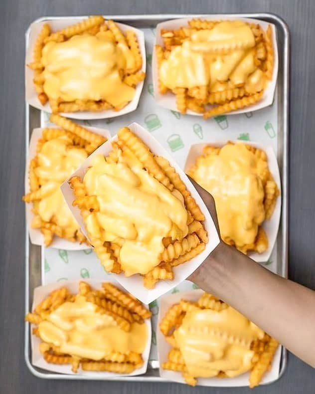 SHAKE SHACKさんのインスタグラム写真 - (SHAKE SHACKInstagram)「Not to be cheesy, but #NationalCheeseLoversDay is one of our favorite holidays 😍🧀  📸: @shakeshacksg #shakeshack」1月21日 2時28分 - shakeshack