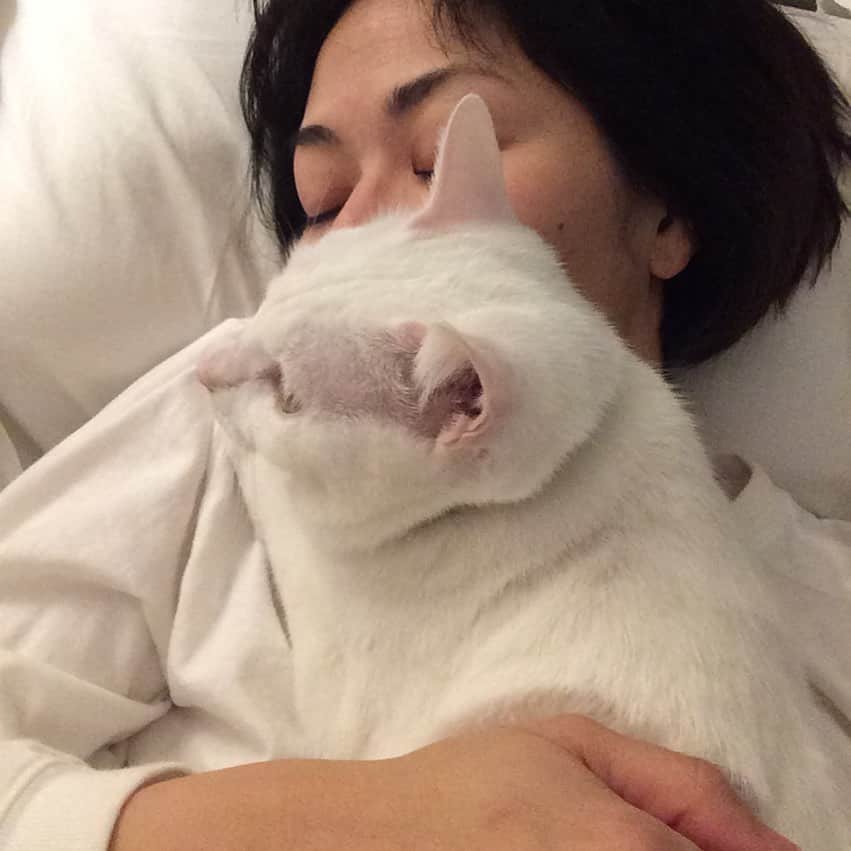 岡田屋鉄蔵のインスタグラム：「見えてない所でナブさんの頬肉をかじってます。まぐまぐ」