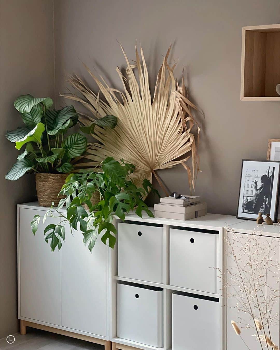 Inger-Lise Lillerovdeのインスタグラム：「annonse| Her trives og vokser de grønne plantene fra @plantasjen i massevis -med godt dagslys og lyse omgivelser! Litt sånn som meg egentlig 😂 Trives best i slike omgivelser! Hehe... På story idag kan du se flere sv sesongens favoritter og nyheter hos meg! Elsker atmosfæren de grønne plantene skaper 🙌🏼 Har de gått til innkjøp av nye, grønne planter etter jul?」