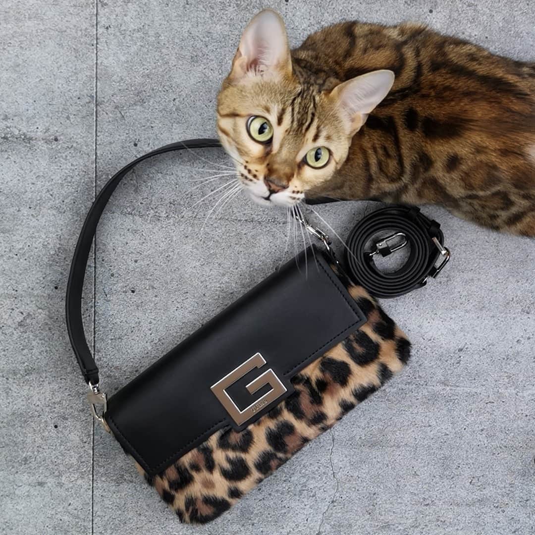 ゲスのインスタグラム：「same same, but different 🐾🖤🐆 tap to shop the brightside shoulder bag #GUESSHandbags (📸: @kitty_fuchs)」