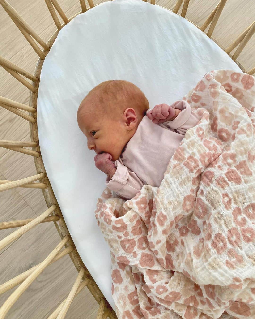 Gaby Dalkinのインスタグラム：「Hi Guys! It’s me, Poppy! Today was my original due date but clearly I had other plans!! (hearing Gaga this morning was obviously one of them!) Moms working on fattening me up + my birth story coming to the blog later today!! 💖just here to say hi for the time being! Thank you to everyone for all the messages and love welcoming me into this world! https://whatsgabycooking.com/introducing-poppy-james-dawson/」