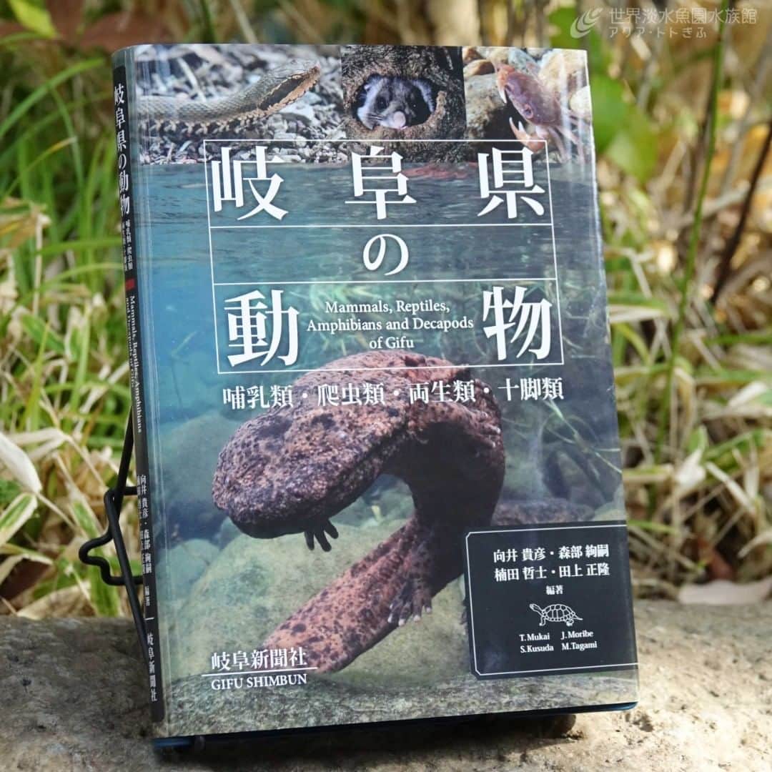 のインスタグラム：「『岐阜県の動物』が出版！当館ショップでも販売中です！  県内の野外で確認された確実な記録のある哺乳類、爬虫類、両生類、十脚類の合計123種を掲載。 それぞれの専門家による解説や多数の写真が掲載されており、岐阜の自然を楽しむことができる1冊です。（定価税込4,500円）  #アクアトト #アクアトトぎふ #アクアトト岐阜 #水族館#aquarium#岐阜県の動物」
