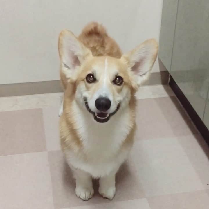 さゆりのインスタグラム：「◡̈⋆2021.1.21.Thu.◡̈⋆」