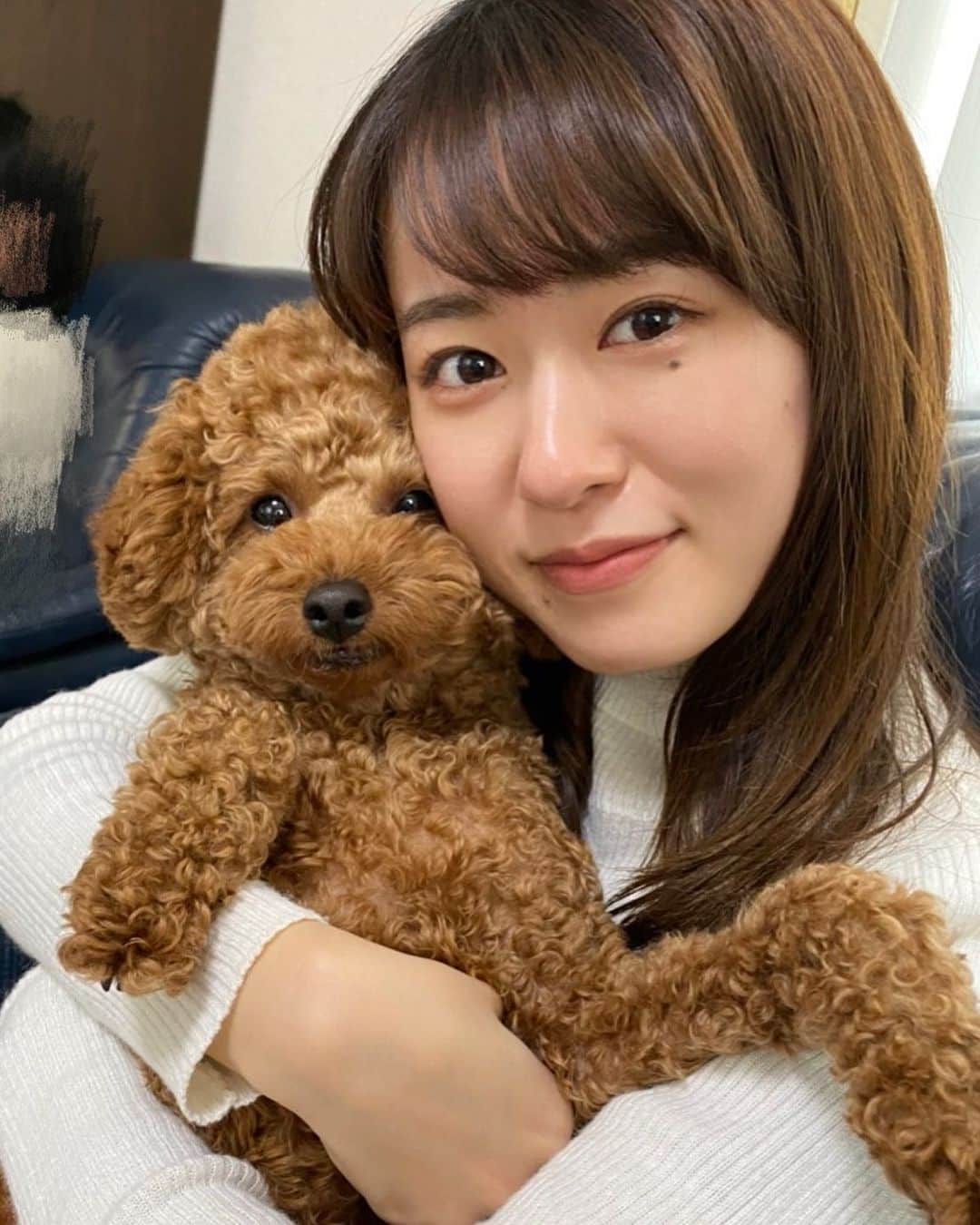 松本有紗のインスタグラム：「久々どんとツーショ✨ 腕が長い〜 2歳になってだいぶ考えてることがわかりやすくなってきました😉 基本は常におやつがほしいようです🍭  #プードル　#6.5キロ　#わんこ」