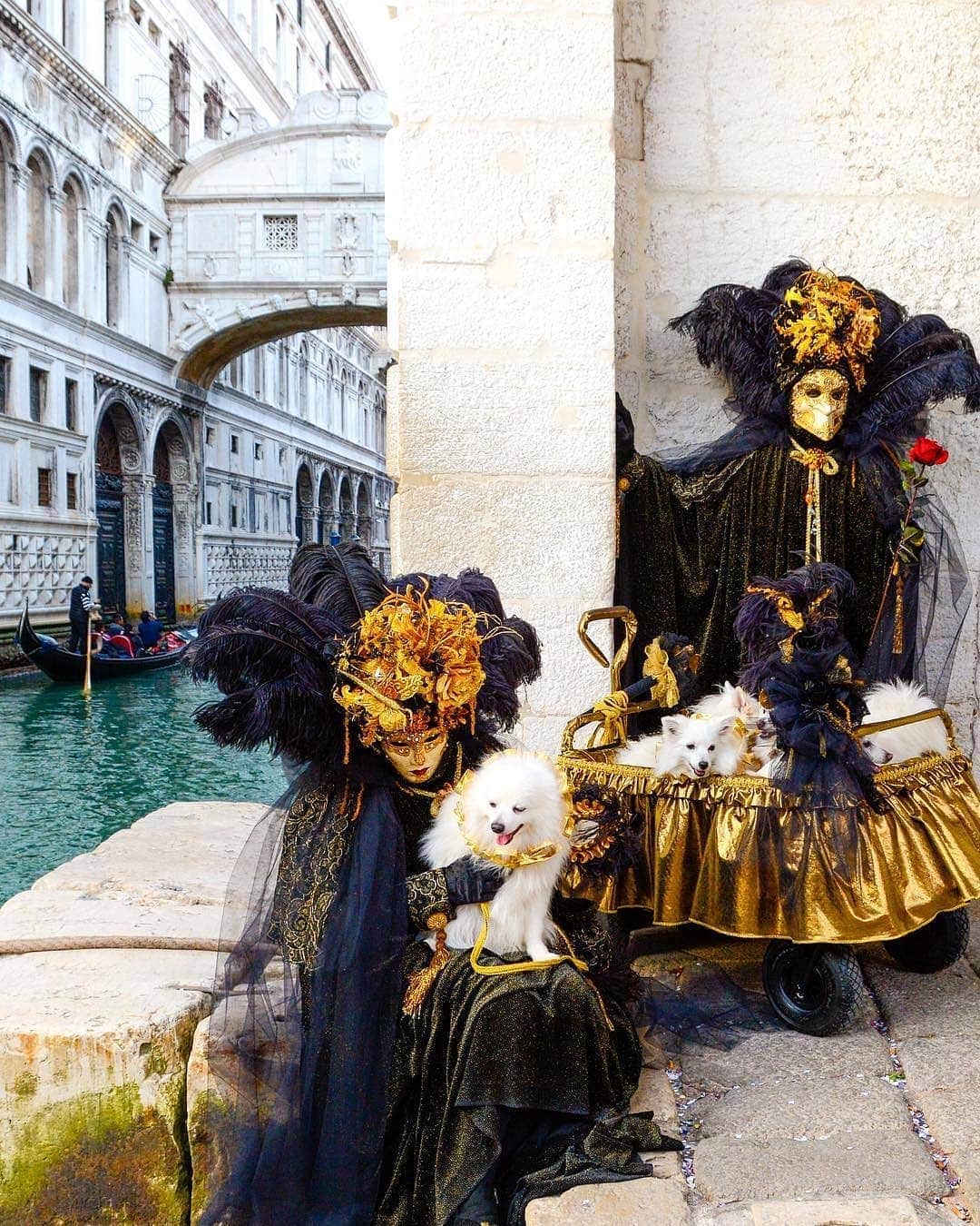 BEAUTIFUL DESTINATIONSさんのインスタグラム写真 - (BEAUTIFUL DESTINATIONSInstagram)「Enchanting and shrouded in mystery! 🎭 The Venice Carnival is one of the largest and prestigious carnivals in the world. Check out these festive and fabulous attires! ✨  Though the Venice City Hall hasn’t published the official calendar of traditional events this 2021, as of date, the Venice Carnival, following the religious calendar, will be held from January 30th to February 16th.   What’s the best carnival you’ve been to? 🎉  📸 @kavalaomer 📍 Venice, Italy」1月21日 6時09分 - beautifuldestinations