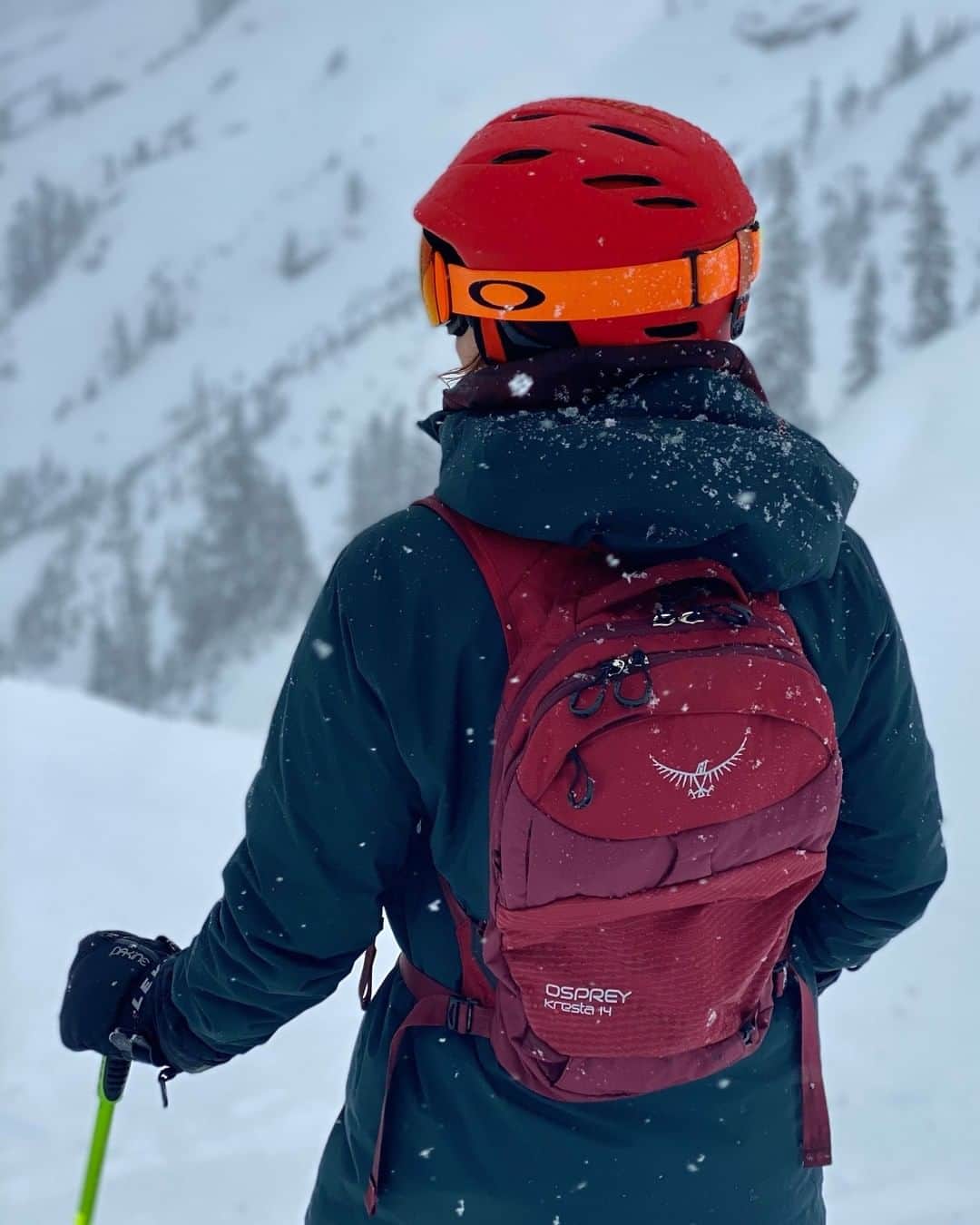 オスプレーのインスタグラム：「"Nature holds the key to our aesthetic, intellectual, cognitive and even spiritual satisfaction." - E. O. Wilson 📷 by @sarahtani  Featured pack from the Kamber/Kresta Series #ospreypacks」